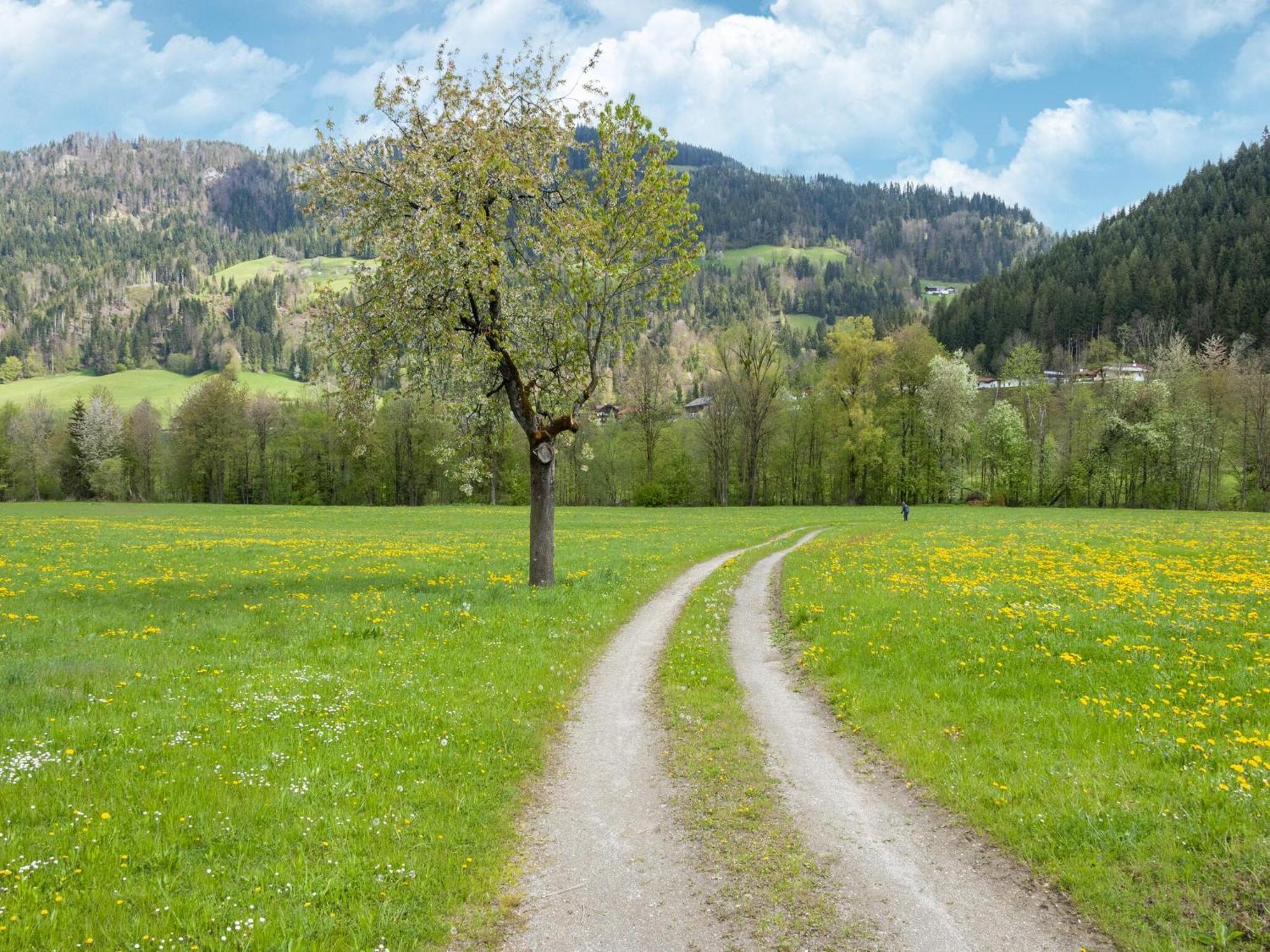 Property In Kirchbichl Exteriör bild